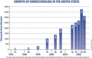 how does homeschooling affect social skills